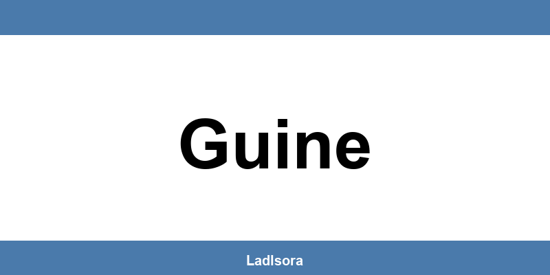 Lidl Filialen und Öffnungszeiten in Guine