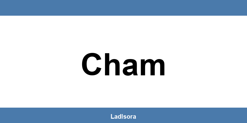 Lidl Filialen und Öffnungszeiten in Cham