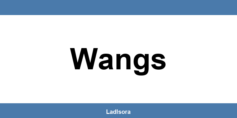 Lidl Filialen und Öffnungszeiten in Wangs